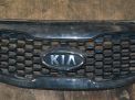 Решетка радиатора Hyundai / Kia Соренто 2 фотография №1